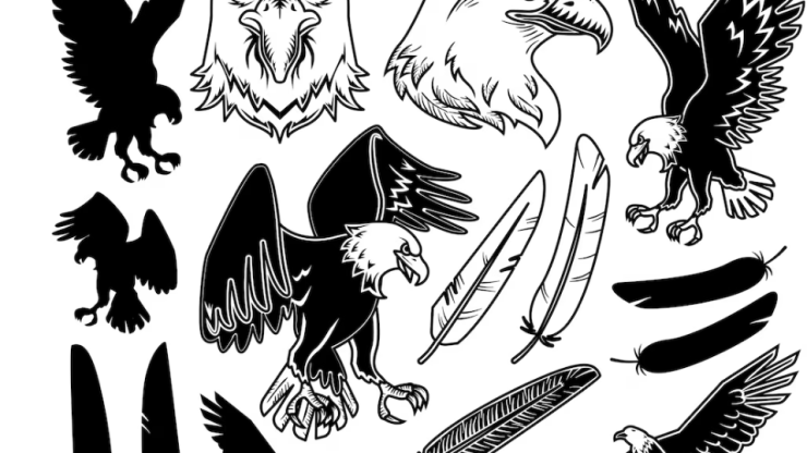 Consejos para un Aguila Dibujo Fácil.